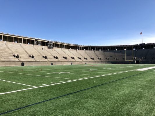 Harvard Stadium by null