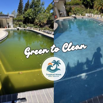 Tropical Wave Pool Service - One of our recent green pool clean ups in Los Altos, CA - Pool & Hot Tub Service Near Me Tropical Wave Pool Service - One of our recent green pool clean ups in Los Altos, CA - Pool & Hot Tub Service Near Me