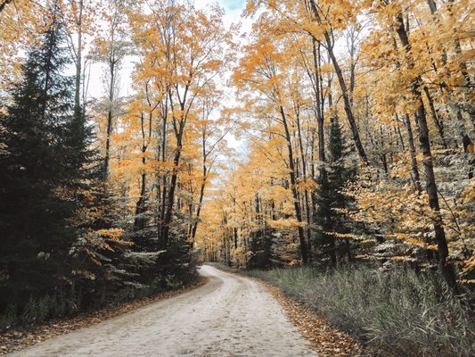 Miners Falls by null