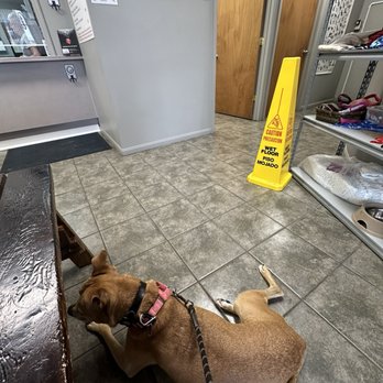Pet Guards Clinic - Veterinarians Near Me - Cuyahoga Falls, Ohio Pet Guards Clinic - Veterinarians Near Me - Cuyahoga Falls, Ohio