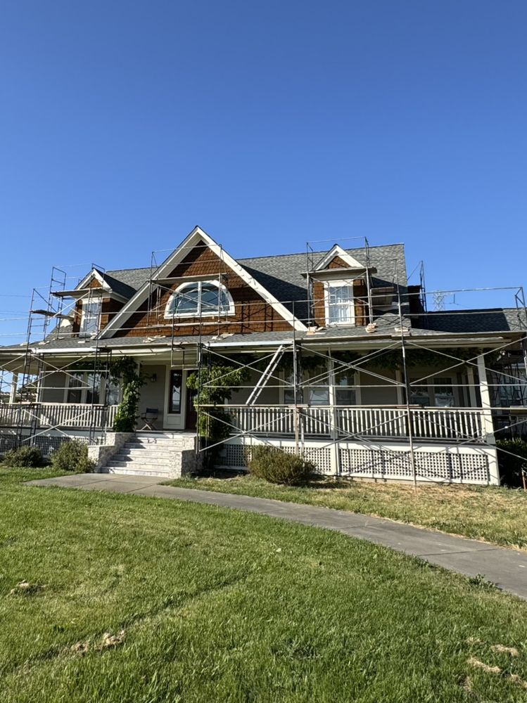 Slide of Active Scaffold