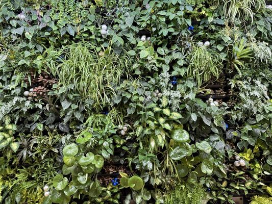 Greater Des Moines Botanical Garden by null