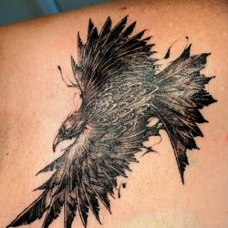 Inkxtreme Tattoo  - @amberstone.ink Gary Zhong dark style raven 2 months healed.