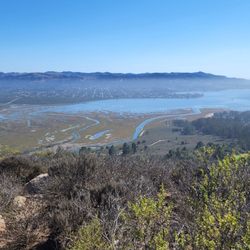 Morro Bay National Estuary Program