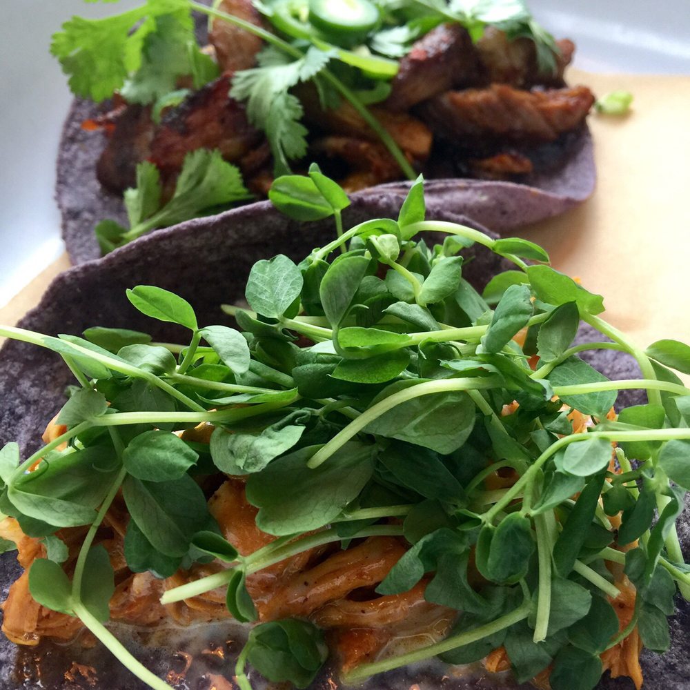 Mas Masa - Great tacos, the blue corn tortilla adds a lot to the flavor. The carnitas are over the top - Mexican Near Me - Fairfax, California Mas Masa - Great tacos, the blue corn tortilla adds a lot to the flavor. The carnitas are over the top - Mexican Near Me - Fairfax, California