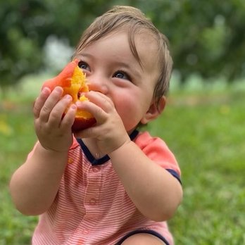 Eckert's Millstadt Fun Farm - Pick Your Own Farms Near Me - Millstadt, Illinois