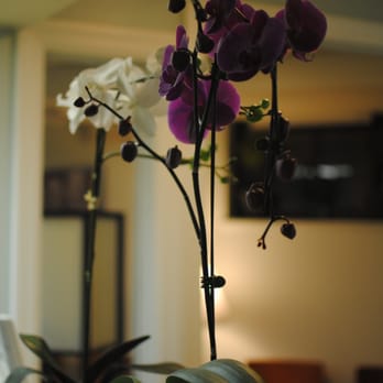J Park Dental - Cosmetic Dentists Near Me - Fort Lee, New Jersey J Park Dental - Cosmetic Dentists Near Me - Fort Lee, New Jersey