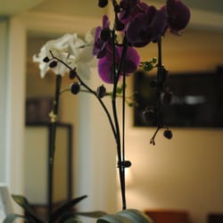 J Park Dental