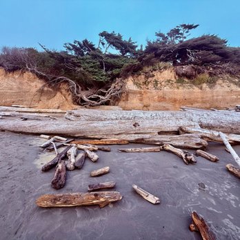 Kalaloch Beach and Campground - Tree of Life - sunken but still marvelous - Campgrounds Near Me - Forks, Washington Kalaloch Beach and Campground - Tree of Life - sunken but still marvelous - Campgrounds Near Me - Forks, Washington