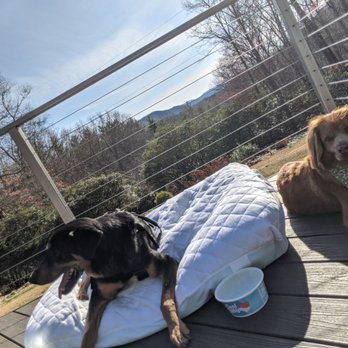 Cloud 9 Relaxation Home - Enjoying outdoor time on the deck! - Vacation Rentals Near Me - Fletcher, North Carolina