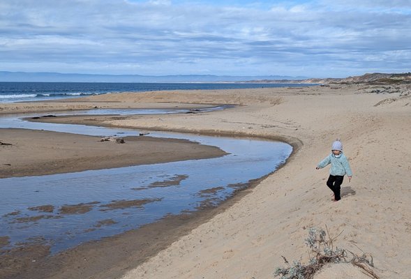 Monterey State Beach by null