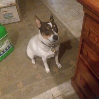 Howie and Sons Pizza - Were goin to Howie and sons tonite and were taking the pizza queen - Pizza Near Me - Visalia, California