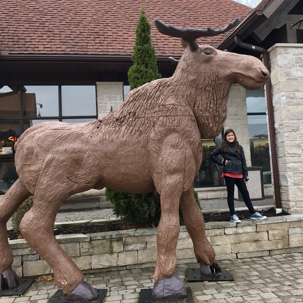 Maple Leaf Place - Specialty Food Near Me - Niagara Falls, Ontario Maple Leaf Place - Specialty Food Near Me - Niagara Falls, Ontario