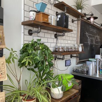 Regent Coffee - Selection of coffees and plants (plants nfs) - Coffee & Tea Near Me - Glendale, California Regent Coffee - Selection of coffees and plants (plants nfs) - Coffee & Tea Near Me - Glendale, California