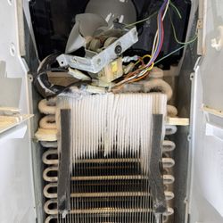 GR Solution - The problem with the evaporator fan looks like this. The section is not cold enough.