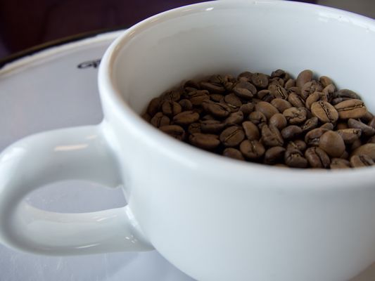 Coffee N Rock by null