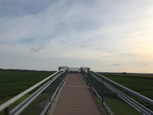 Columbia Bottom Conservation Area by null