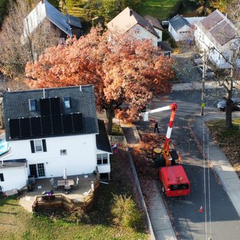 Velasquez Tree Services - Big tree removal - Tree Services Near Me - Waltham, Massachusetts Velasquez Tree Services - Big tree removal - Tree Services Near Me - Waltham, Massachusetts