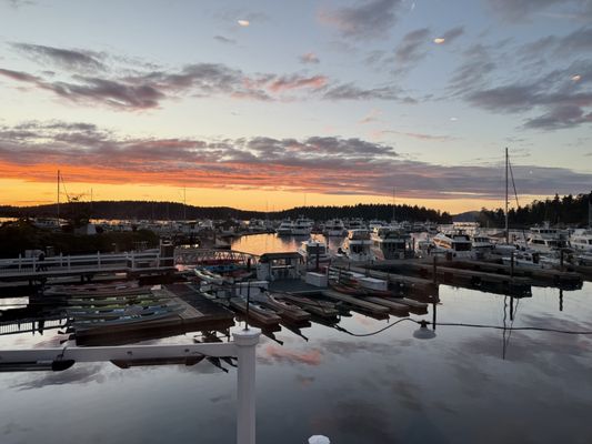 McMillin's Dining Room by null