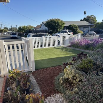 Apex Tree Care - AFTER - Tree Services Near Me