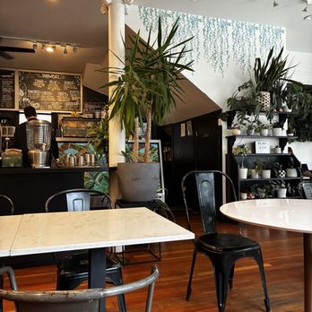 Fiddle Fig Cafe & Coffee - Cafes Near Me - San Francisco, California Fiddle Fig Cafe & Coffee - Cafes Near Me - San Francisco, California