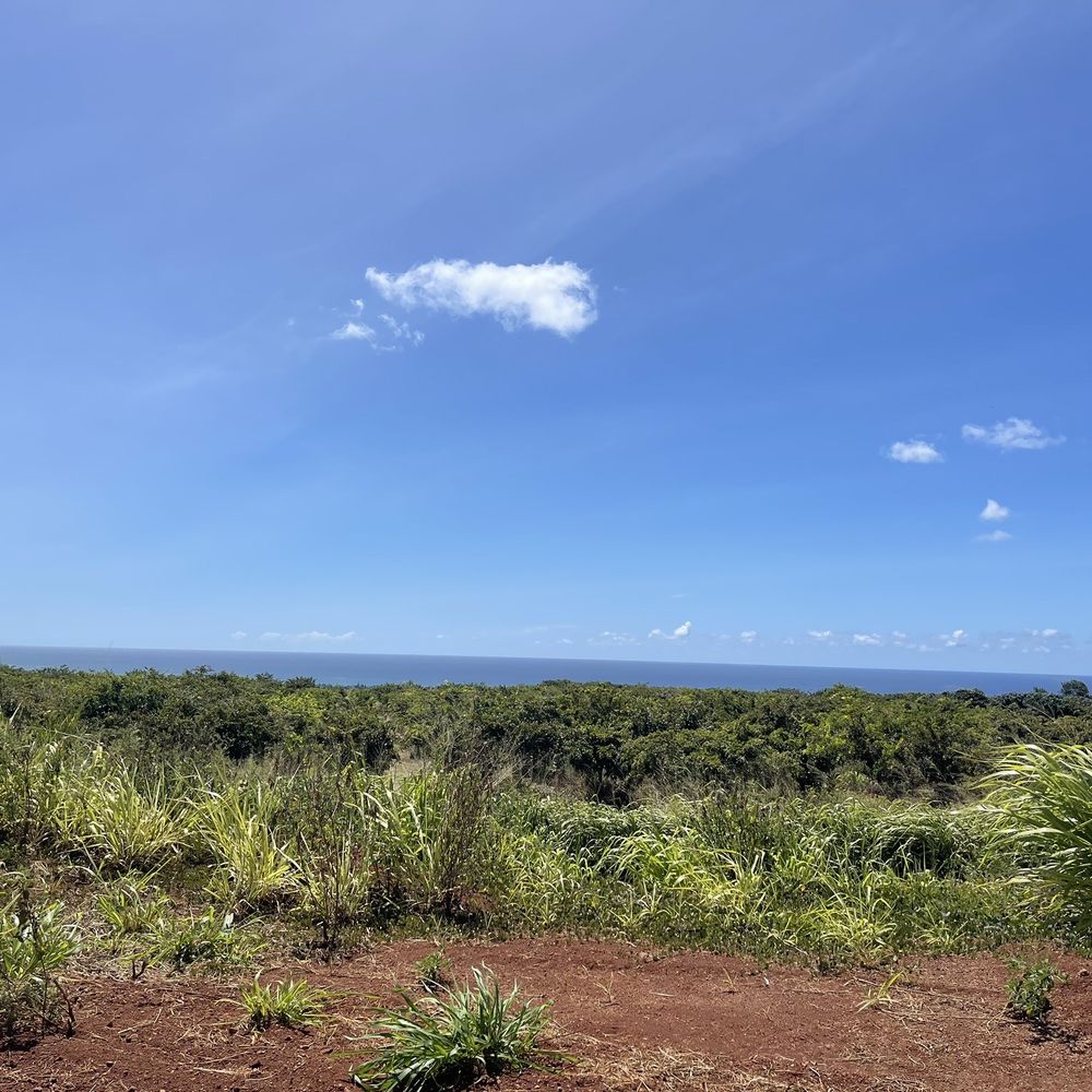 North Shore EcoTours - Hiking Near Me - Haleiwa, Hawaii North Shore EcoTours - Hiking Near Me - Haleiwa, Hawaii