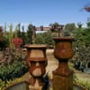 Oakland Nursery - Delaware gift card