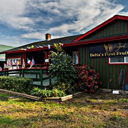 Angel Estate Winery - Angel Estate Winery Store