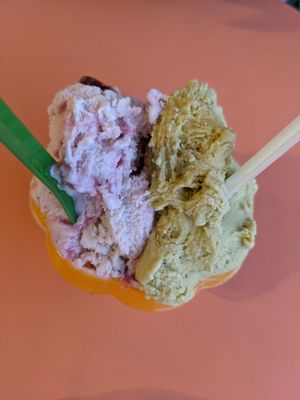 Nutty Squirrel Gelato by null