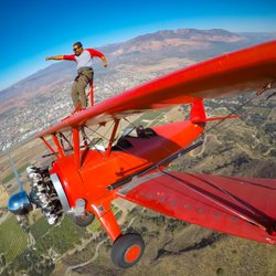 Mason Wing Walking Academy