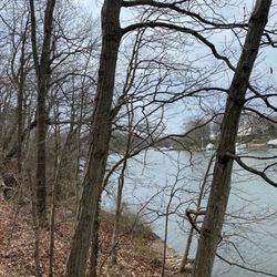 Truxtun Park