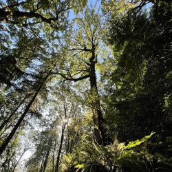 Evans Creek Preserve