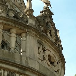 Michigan Law University Of Michigan - We spotted a hawk on the spires of the law school building.... screeching so loud we heard it 1 block away!