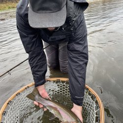 Rogue Valley Anglers - First fish on the swing, courtesy of RVA