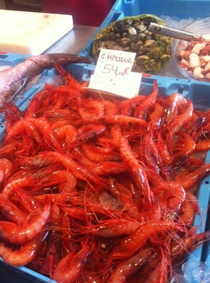 The Palamós Fish Market by null