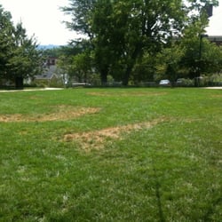 McGuffey Park - Large grassy area