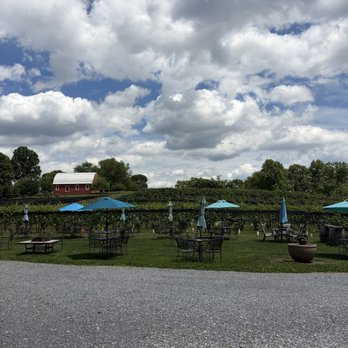 Serpent Ridge Vineyard - Outside - Wineries Near Me - Westminster, Maryland Serpent Ridge Vineyard - Outside - Wineries Near Me - Westminster, Maryland