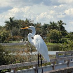 Doral Glades Park