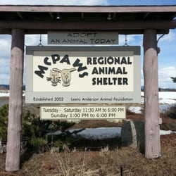 MCPAWS Regional Animal Shelter - Stop on by McCalls local pet shelter. Lots of loving purrs & tail wags!