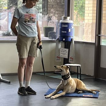 Zoom Room Dog Training - Pet Training Near Me - Peoria, Arizona Zoom Room Dog Training - Pet Training Near Me - Peoria, Arizona