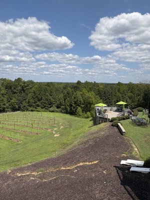 Saudé Creek Vineyards by null