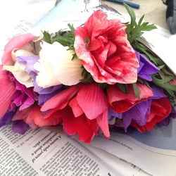 Riverhead Farmers Market - The prettiest Anemones from Pierpont Blossom Farm. Part of the indoor season of the Riverhead Farmers Market, Saturdays 10am-2pm.
