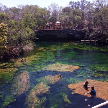 Cenote Jardín del Edén - Free Diving Near Me - Playa del Carmen, ROO