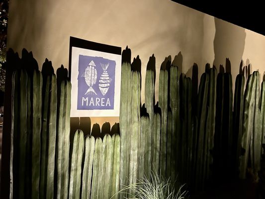 Montage Los Cabos by null Montage Los Cabos by null