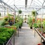 Photo of The Garden Fusion