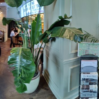 Sisters Thai - Cool layout from entrance - Thai Near Me - Alexandria, Virginia Sisters Thai - Cool layout from entrance - Thai Near Me - Alexandria, Virginia