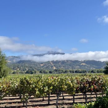 Geyserville Inn - Morning view - Hotels Near Me - Geyserville, California Geyserville Inn - Morning view - Hotels Near Me - Geyserville, California