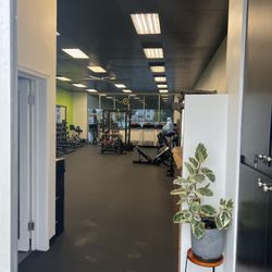 Alive Fitness