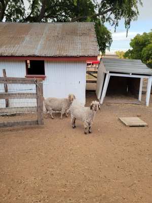 Heritage Farmstead Museum by null