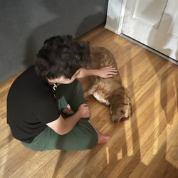 My Best Friend Obedience